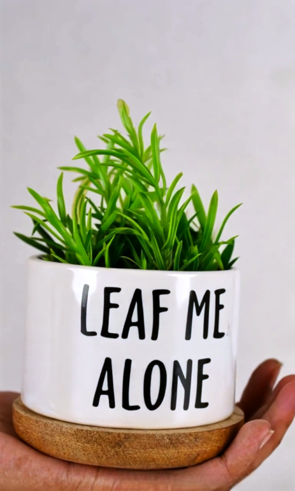 Luxe Ceramic Succulent Planter with Walnut Base – 'Leaf Me Alone' White Plant Pot - Image 5